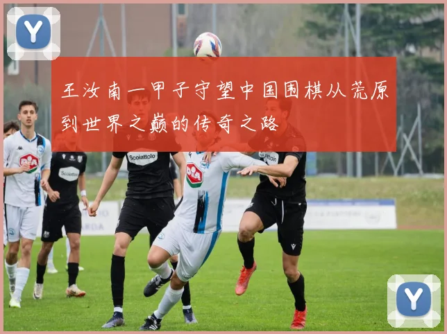 王汝南一甲子守望中国围棋从荒原到世界之巅的传奇之路