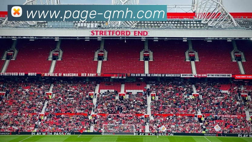 球盟会平台生态图